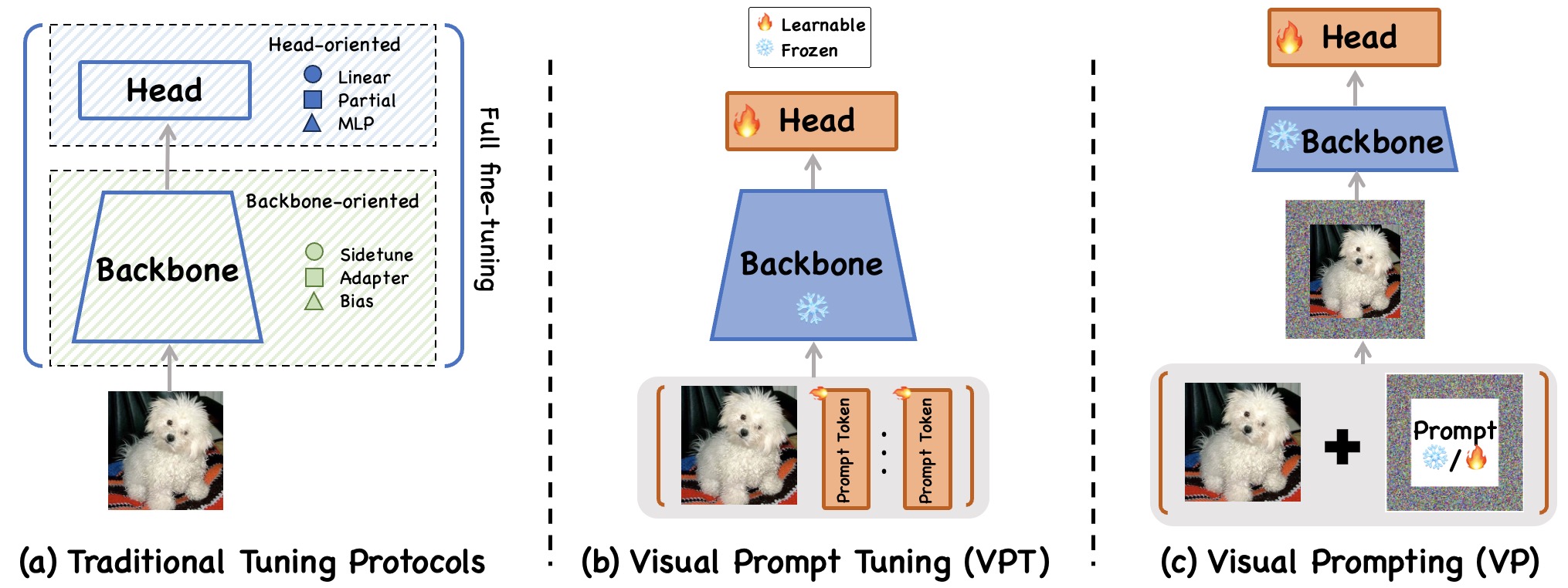 Comparison of transfer learning and prompt-based adaptation methods