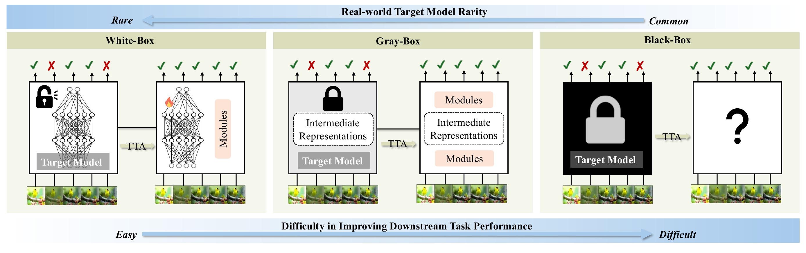 Black-Box TTA Setting